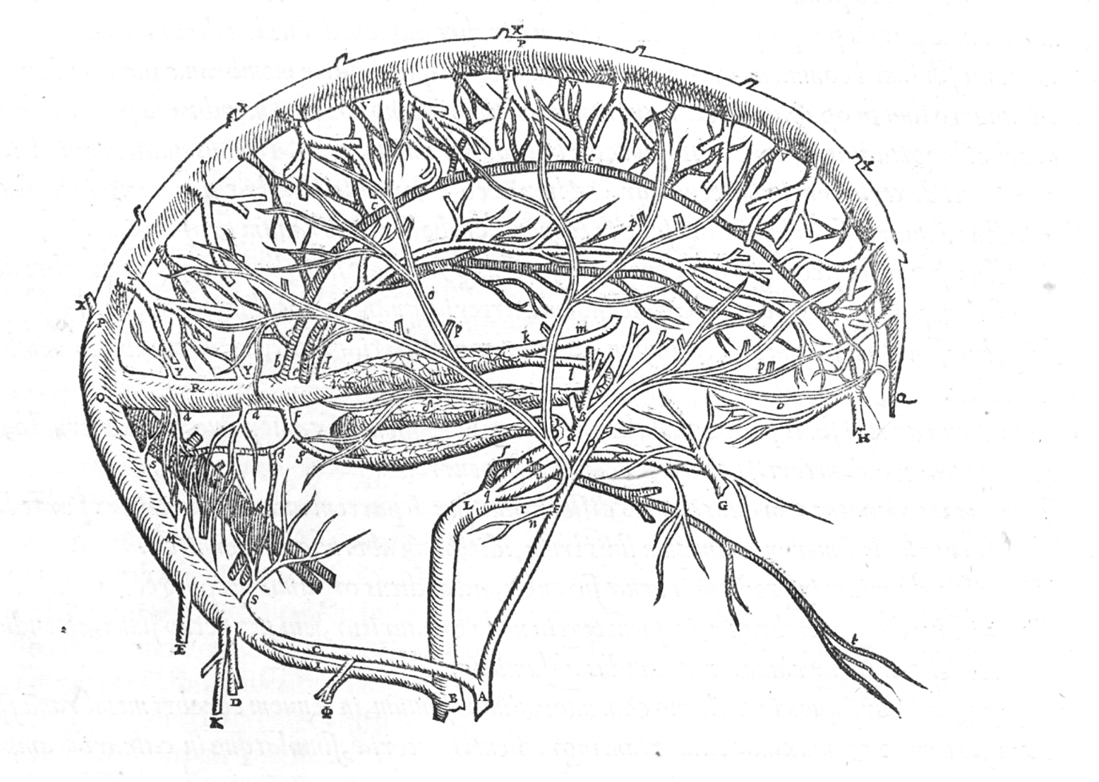 Neurotoxin illustration
